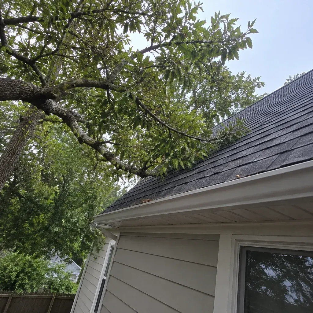 Lee's Summit Shed Rodent Control Checklist